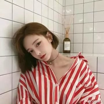 别理陌生人封面